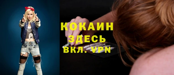 ПСИЛОЦИБИНОВЫЕ ГРИБЫ Новозыбков