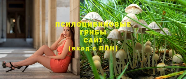стафф Алзамай