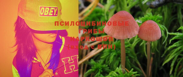 стафф Алзамай